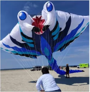 15M 3D Kite, Fish Kite, Squid Kite, Wind Sock 3D Ripstop Soft Kites for Adults Easy to Fly Cometas para Adultos Windsock (Color : 15m)