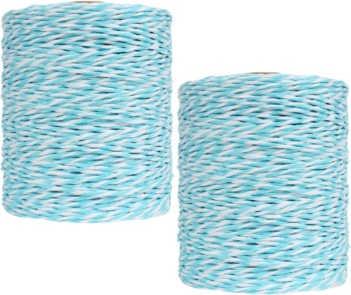2 Pack of Natural Cotton Golden Silk Colorful Raffia Yarn Cotton Line Rayon Raffia Rope for Summer Sun Straw Hat Beach Bag DIY Hand Knitting Handbag