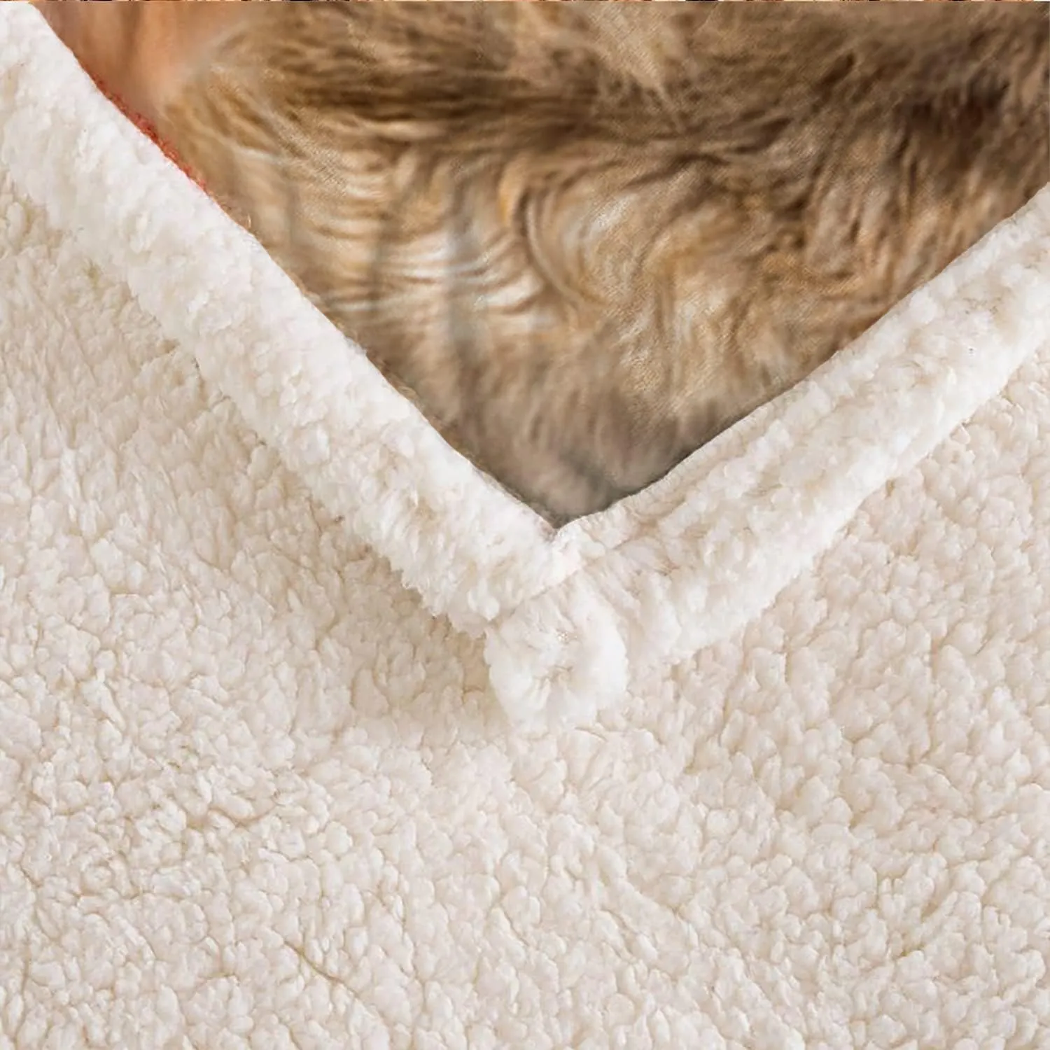 AILONEN Dog Blanket for Kids Adults, Animal Cute Puppy Plush Blanket, Double Sided Fabric Lamb Wool Flannel Sherpa Throw Blanket(Golden Retriever,Queen, 70 x 55 Inches)