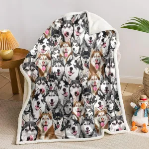 AILONEN Husky Dog Blanket for Kids Adults, Animal Pattern Gift Lovers,Double Sided Sherpa Throw Print Flannel Fleece (70 x 55 inches) Dog27