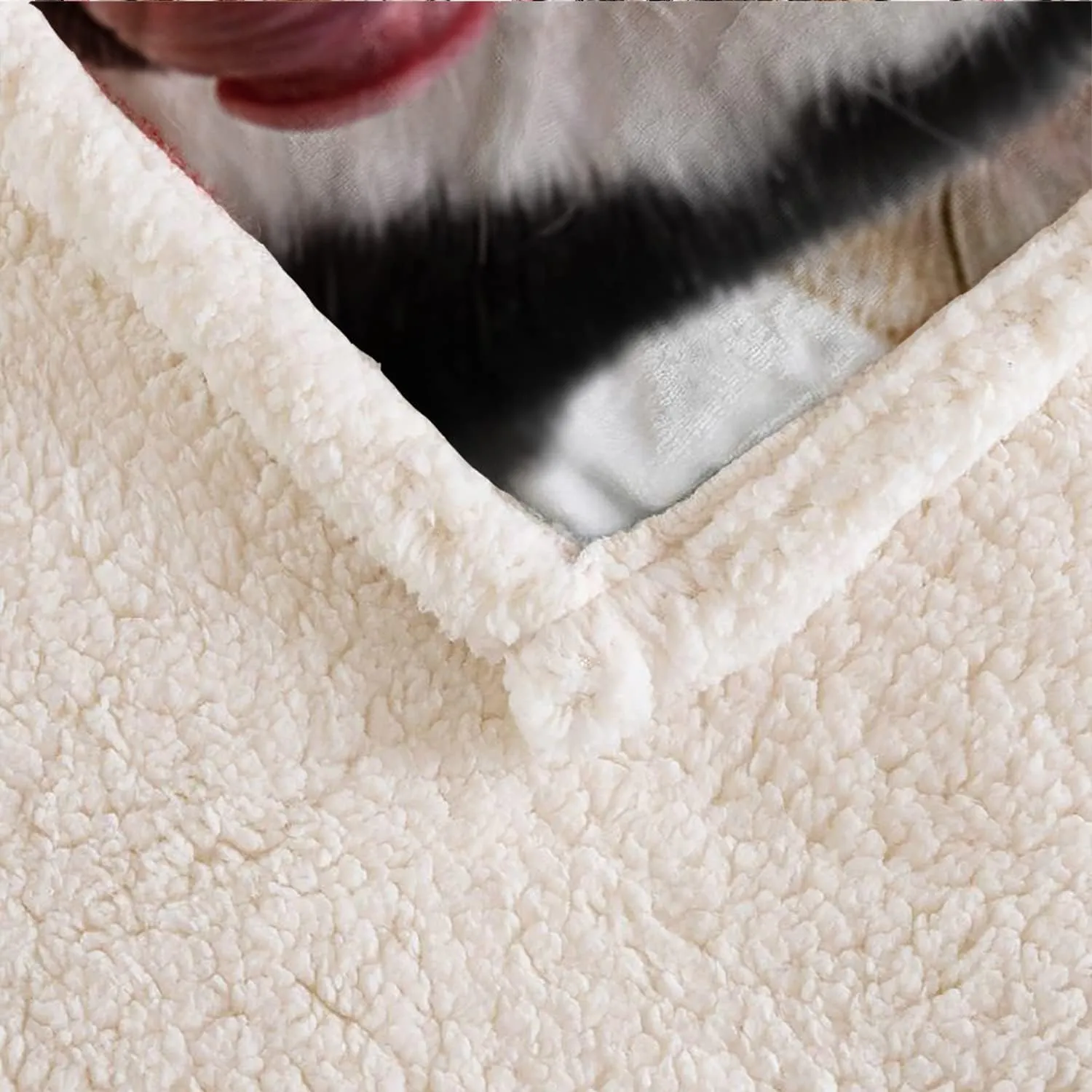 AILONEN Husky Dog Blanket for Kids Adults, Animal Pattern Gift Lovers,Double Sided Sherpa Throw Print Flannel Fleece (70 x 55 inches) Dog27