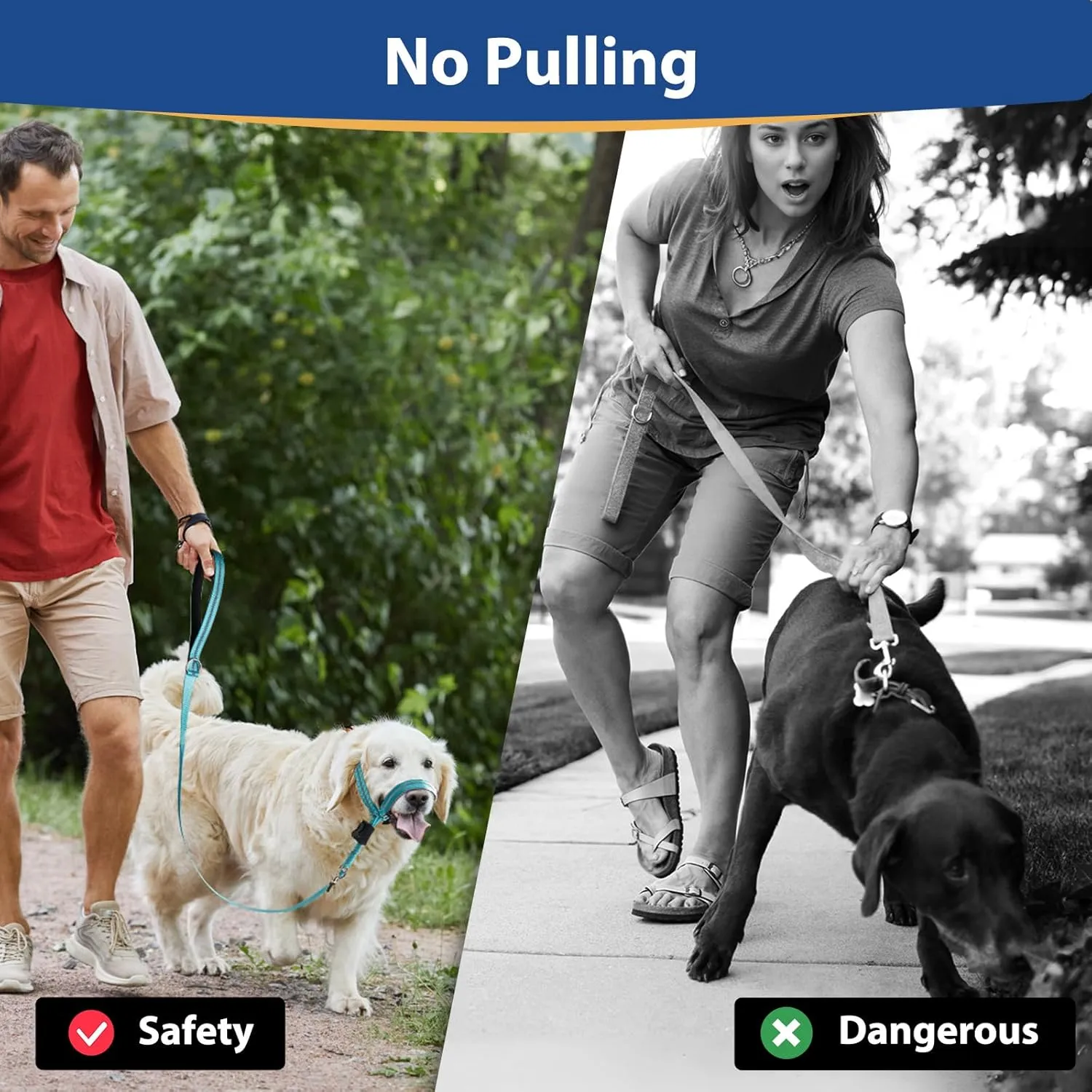 BARKLESS Dog Head Collar, Reflective Head Halter for Small Medium Large Dogs with Soft Padding, No Pull Mouth Harness with Training Leash, Adjustable Muzzle Leash for Gentle Walking