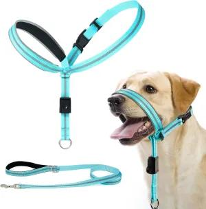 BARKLESS Dog Head Collar, Reflective Head Halter for Small Medium Large Dogs with Soft Padding, No Pull Mouth Harness with Training Leash, Adjustable Muzzle Leash for Gentle Walking