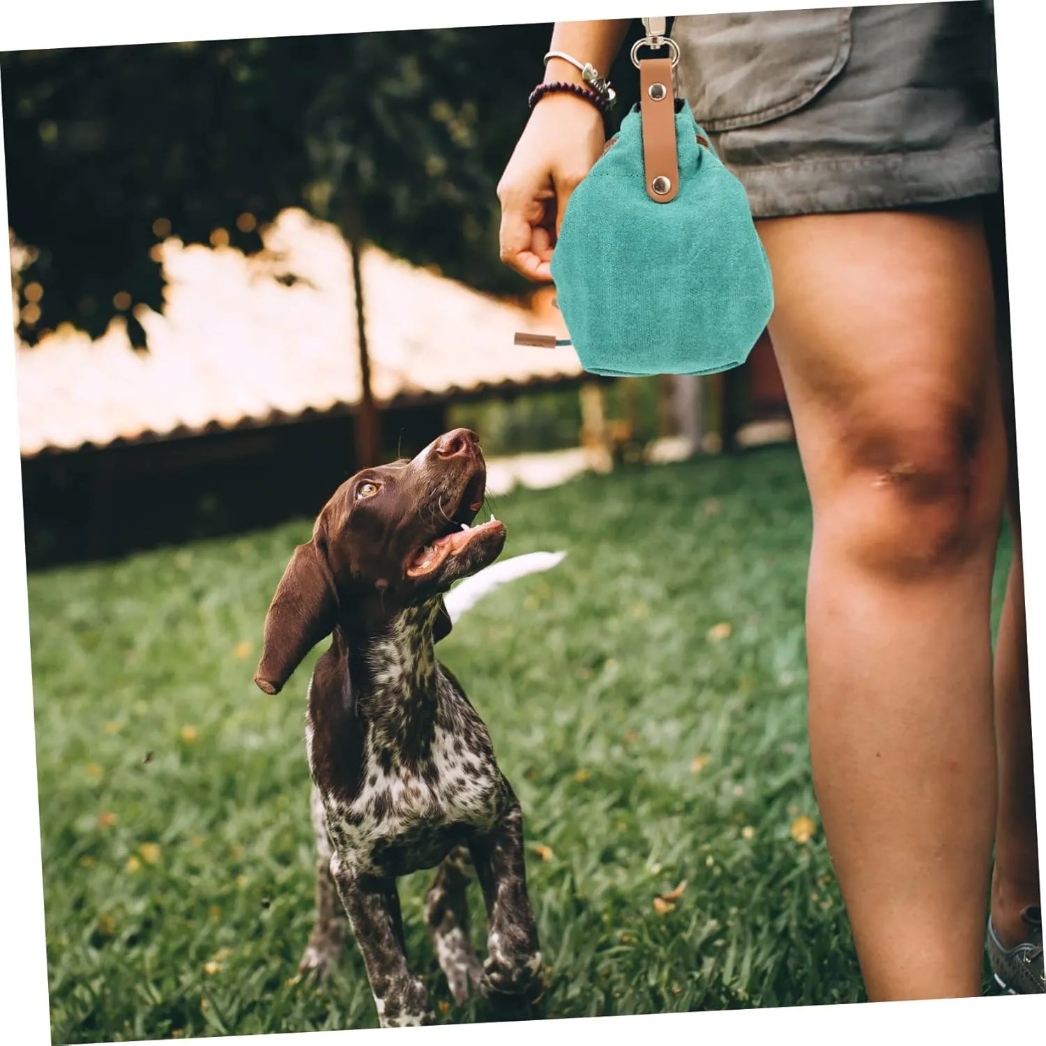 Canvas Treat Bag Pet Food Bag Holder Dog Treat Holder Dog Food Pouch Canvas Green
