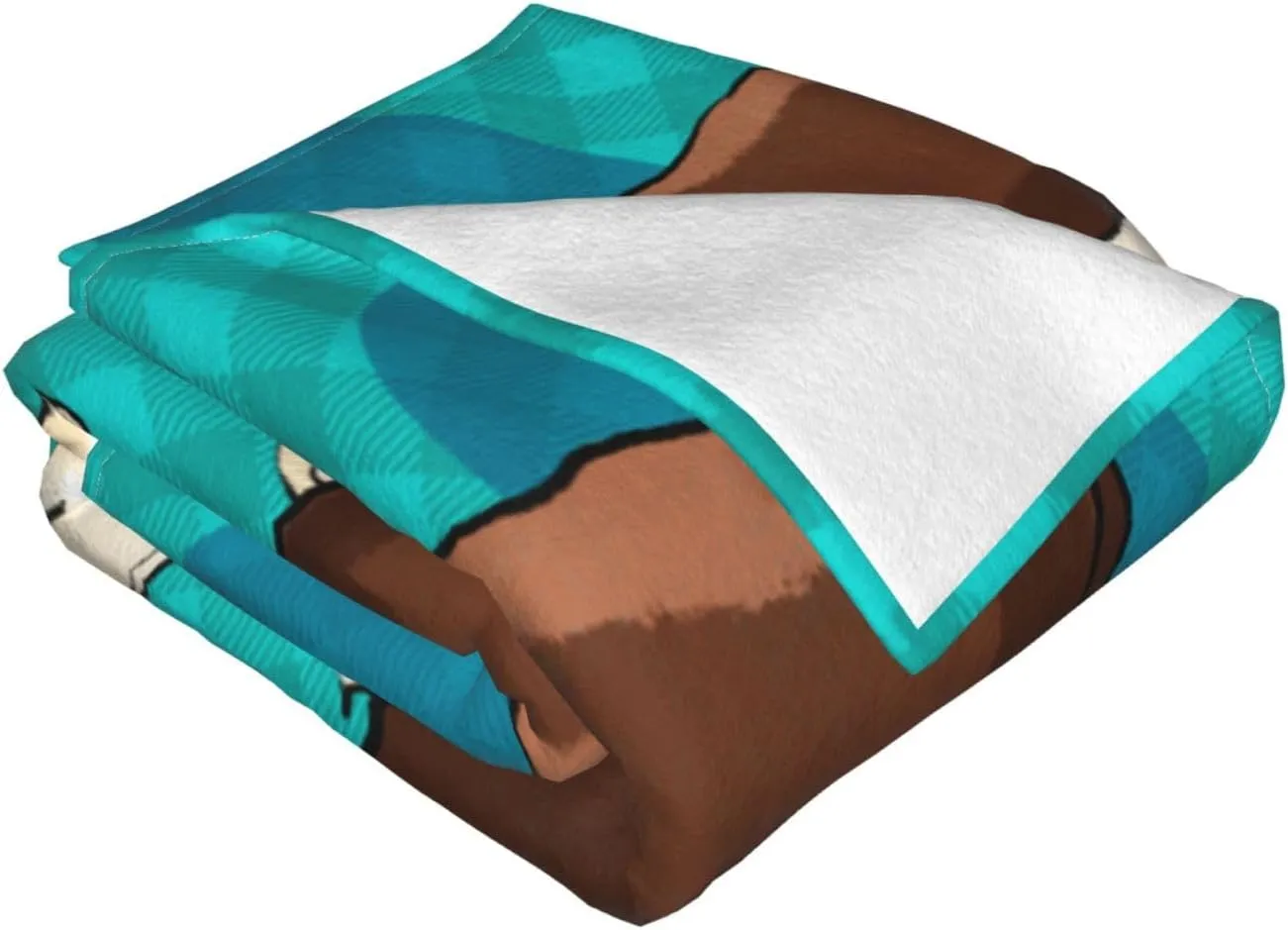Cute Little Raccoon Super Soft Microfiber Flannel Blankets, Bed, Sofa Ultra Luxurious Warm and Cozy for All Seasons