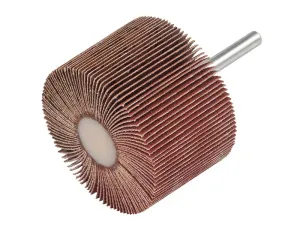 Garryson Sd5020F Flap Wheel 50 X 20Mm - Fine