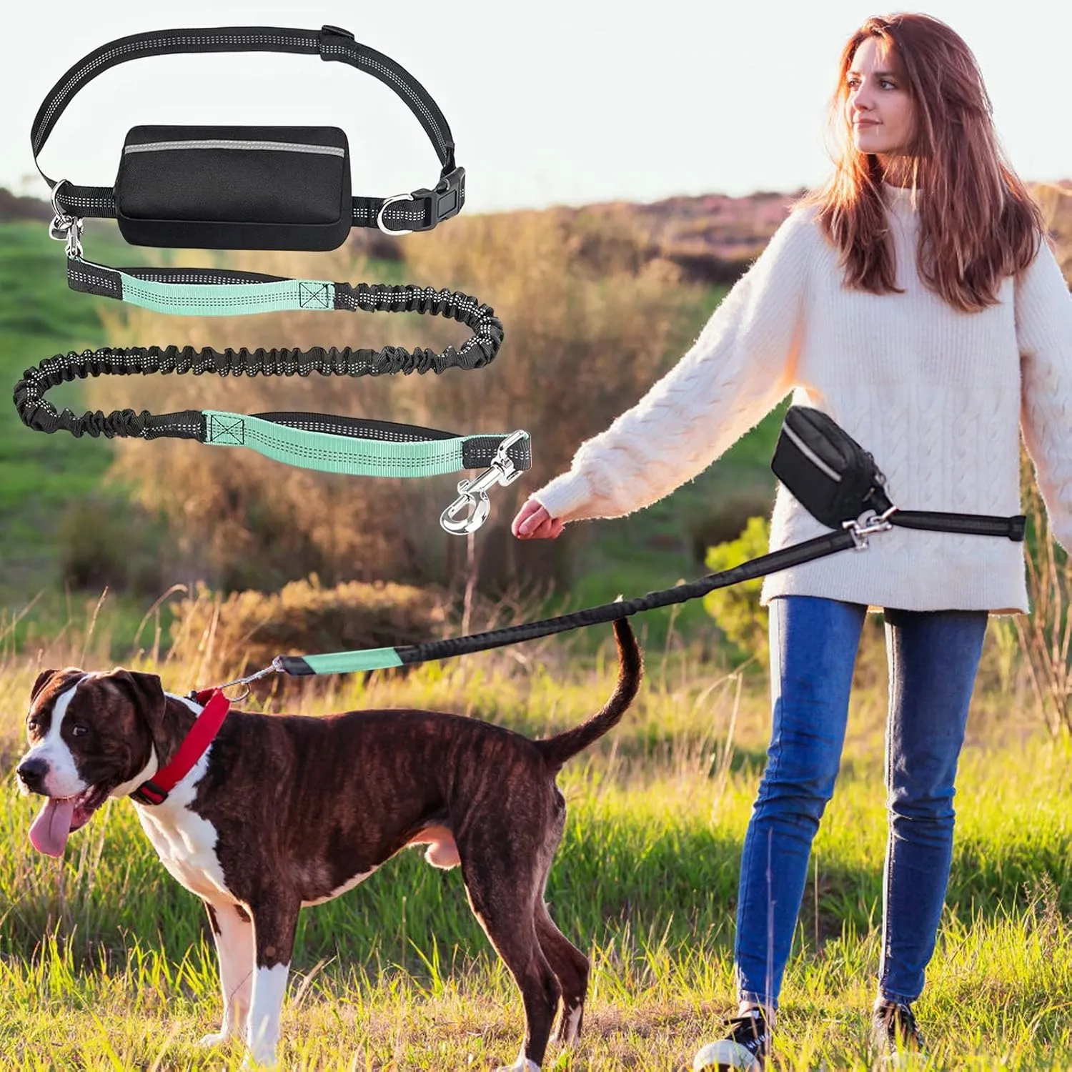 Hands Free Dog Leash with Zipper Pouch, Waist Dog Running Leash for Medium and Large Dogs, Retractable Bungee Waist Leashs with Dual Padded Handles & Waist Belt, for Walking Jogging (Green)
