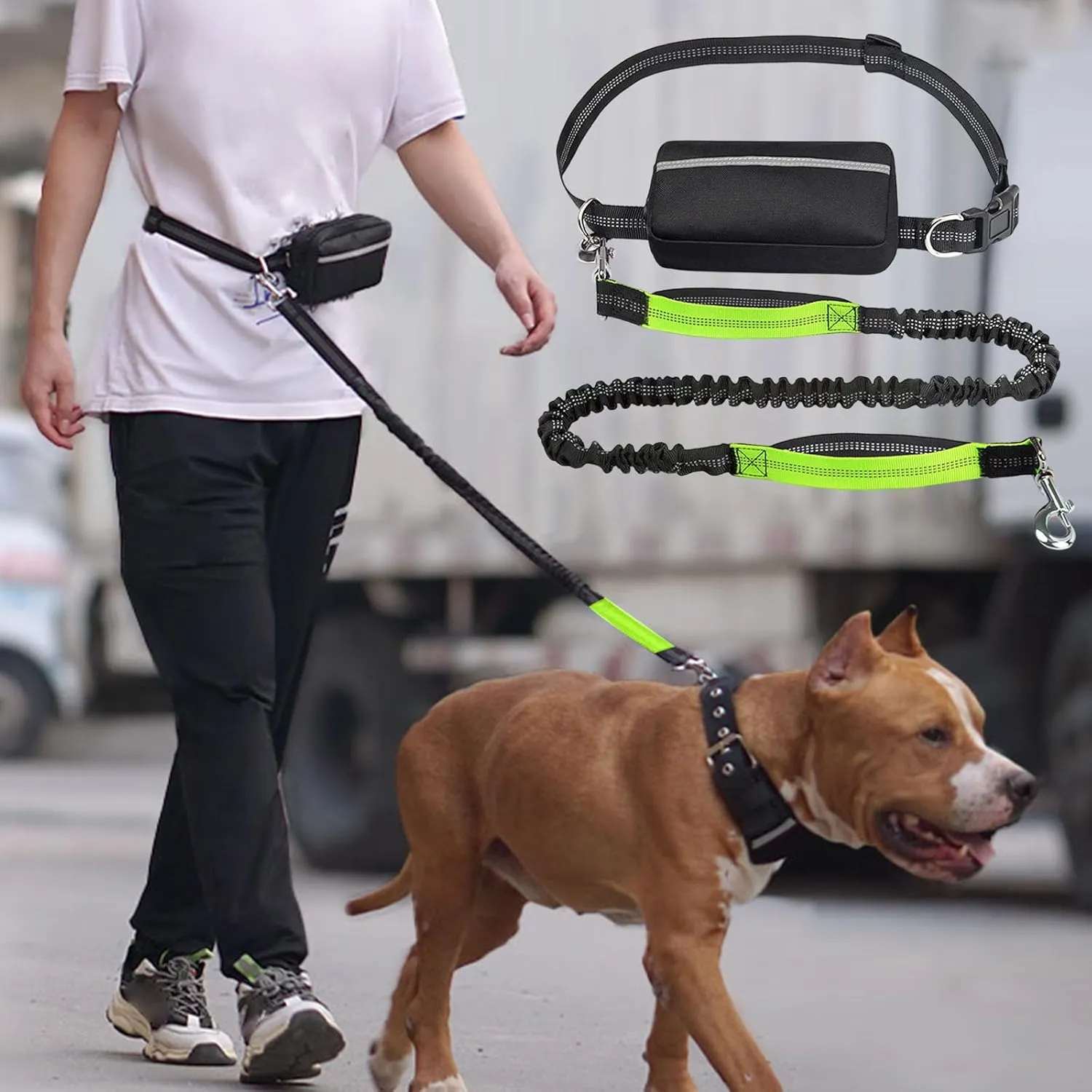 Hands Free Dog Leash with Zipper Pouch, Waist Dog Running Leash for Medium and Large Dogs, Retractable Bungee Waist Leashs with Dual Padded Handles & Waist Belt, for Walking Jogging (Green)