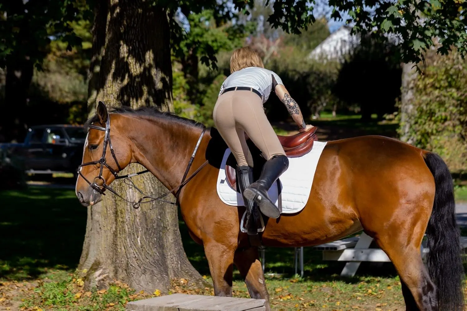 HORZE Ella Women's English Riding Pull-On Schooling Breeches with ALOS Leather Knee Patches | Size Charts in Images