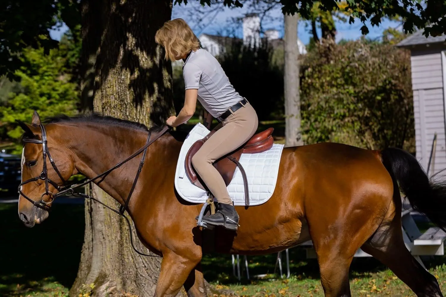 HORZE Ella Women's English Riding Pull-On Schooling Breeches with ALOS Leather Knee Patches | Size Charts in Images