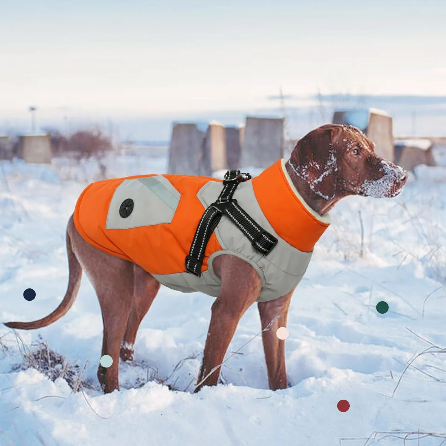 IECOii Dog Coat for Large Dogs, Orange, X-Large - Waterproof Winter Fleece Jacket with Harness, Turtleneck, Reflective Straps, Zipper Closure
