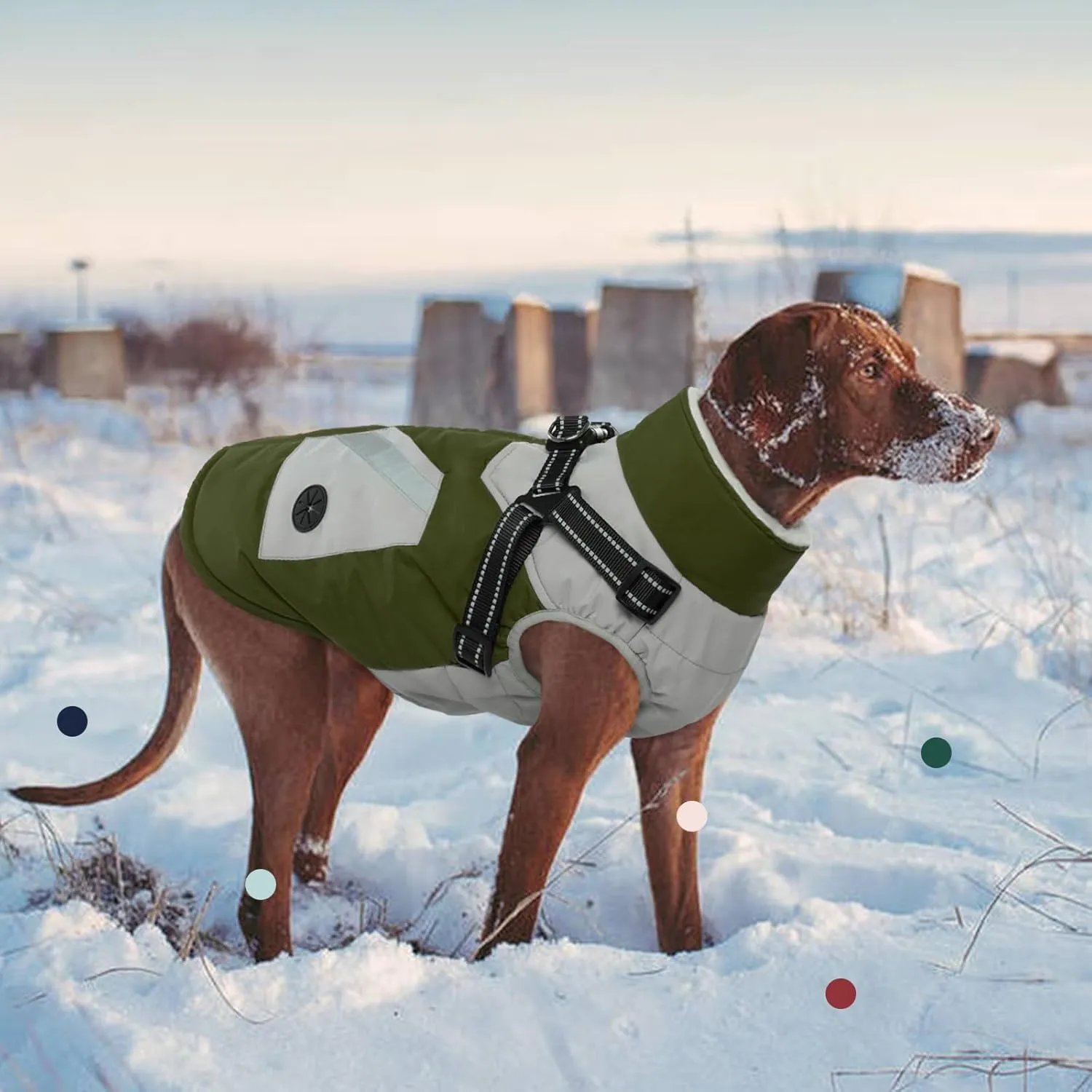 IECOii Dog Coats for Small Dogs Winter Harness Zip Up - Green,XSmall - Warm Fleece Lined Small Dog Winter Coat with D Ring,Waterproof Puppy Coats，Dog Snow Jackets Snowsuit Chihuahua Papillon Maltese