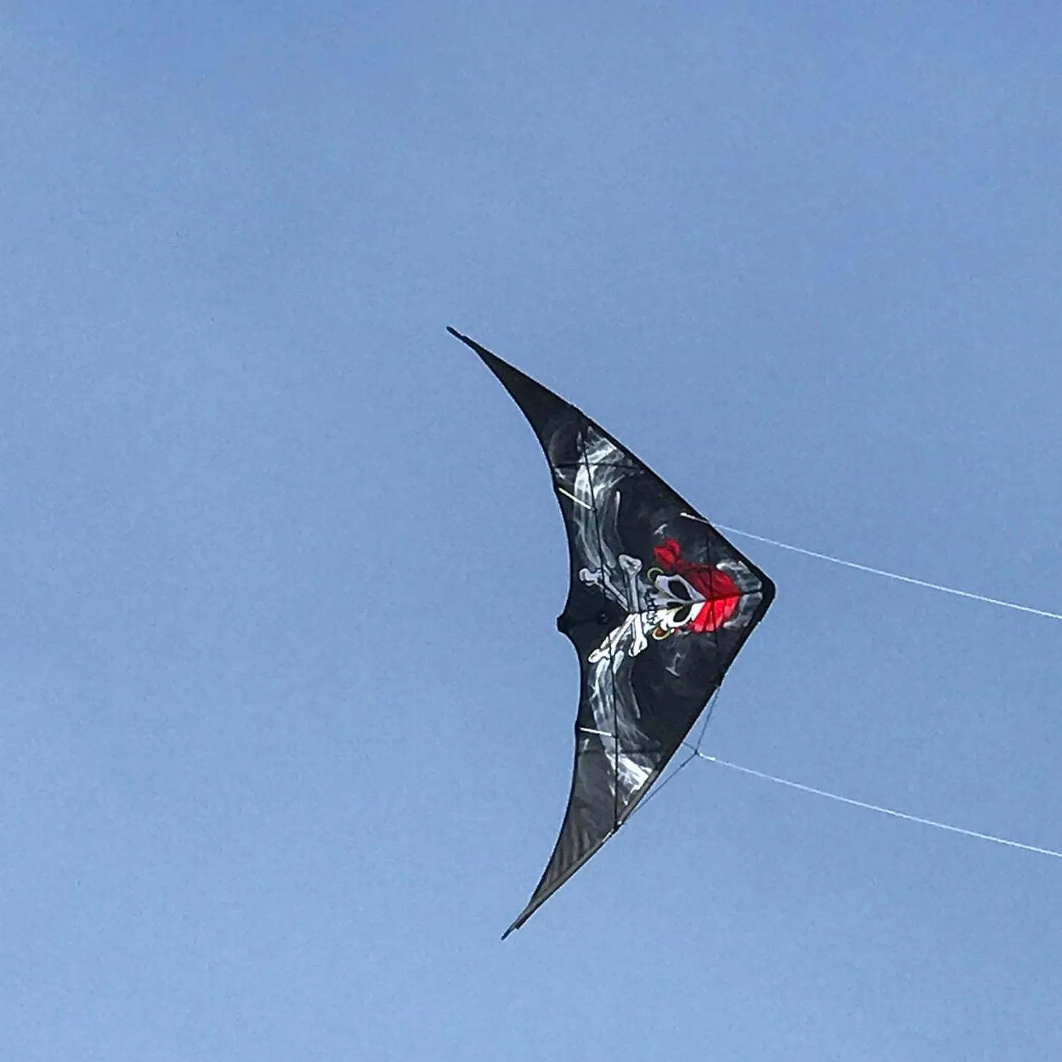 In the Breeze Smoking' Pirate Dual-Control Stunt Kite,47" W x 25" H x 8" D,3307