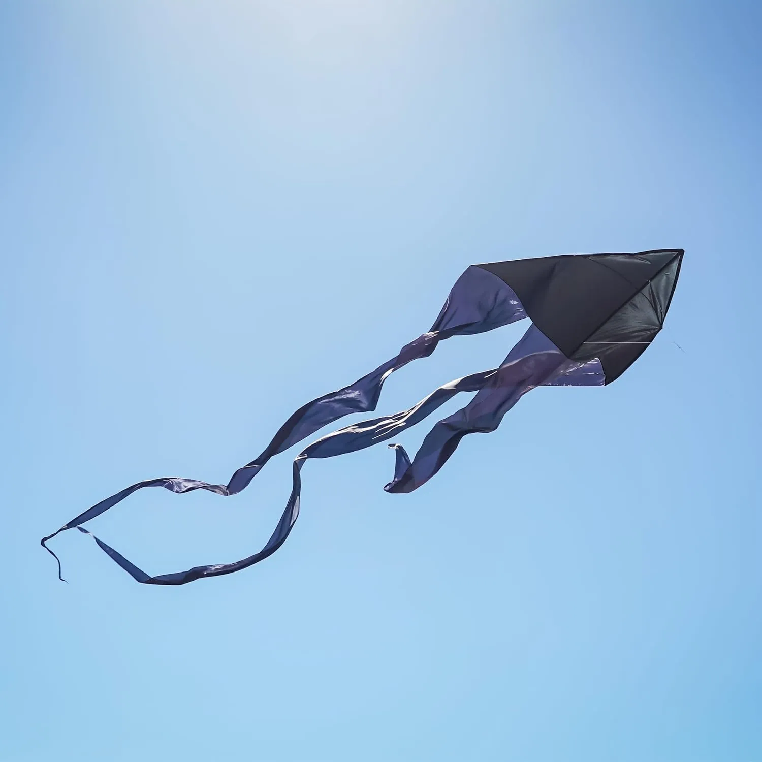 In the Breeze Wave Delta Kite, Single Line Kite, Ripstop and Taffeta Fabric, Line and Bag Included