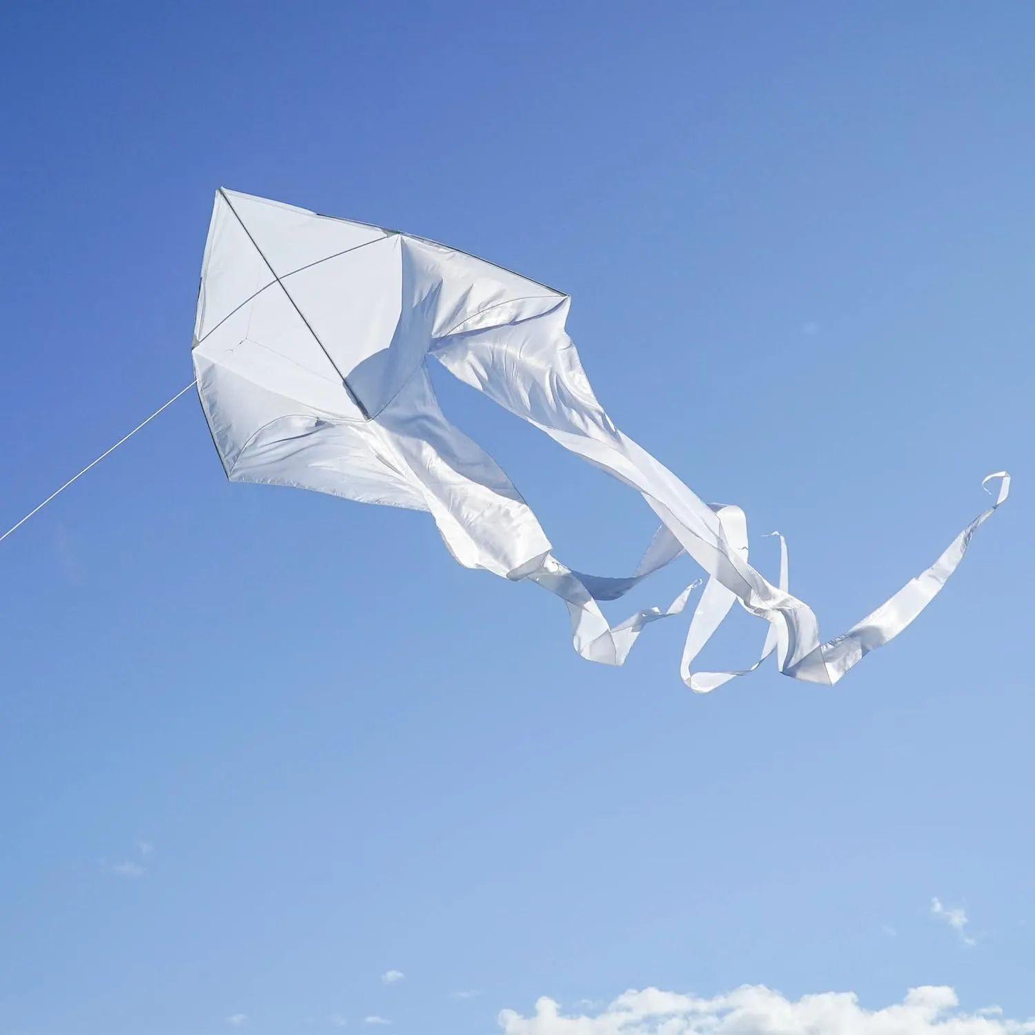 In the Breeze Wave Delta Kite, Single Line Kite, Ripstop and Taffeta Fabric, Line and Bag Included