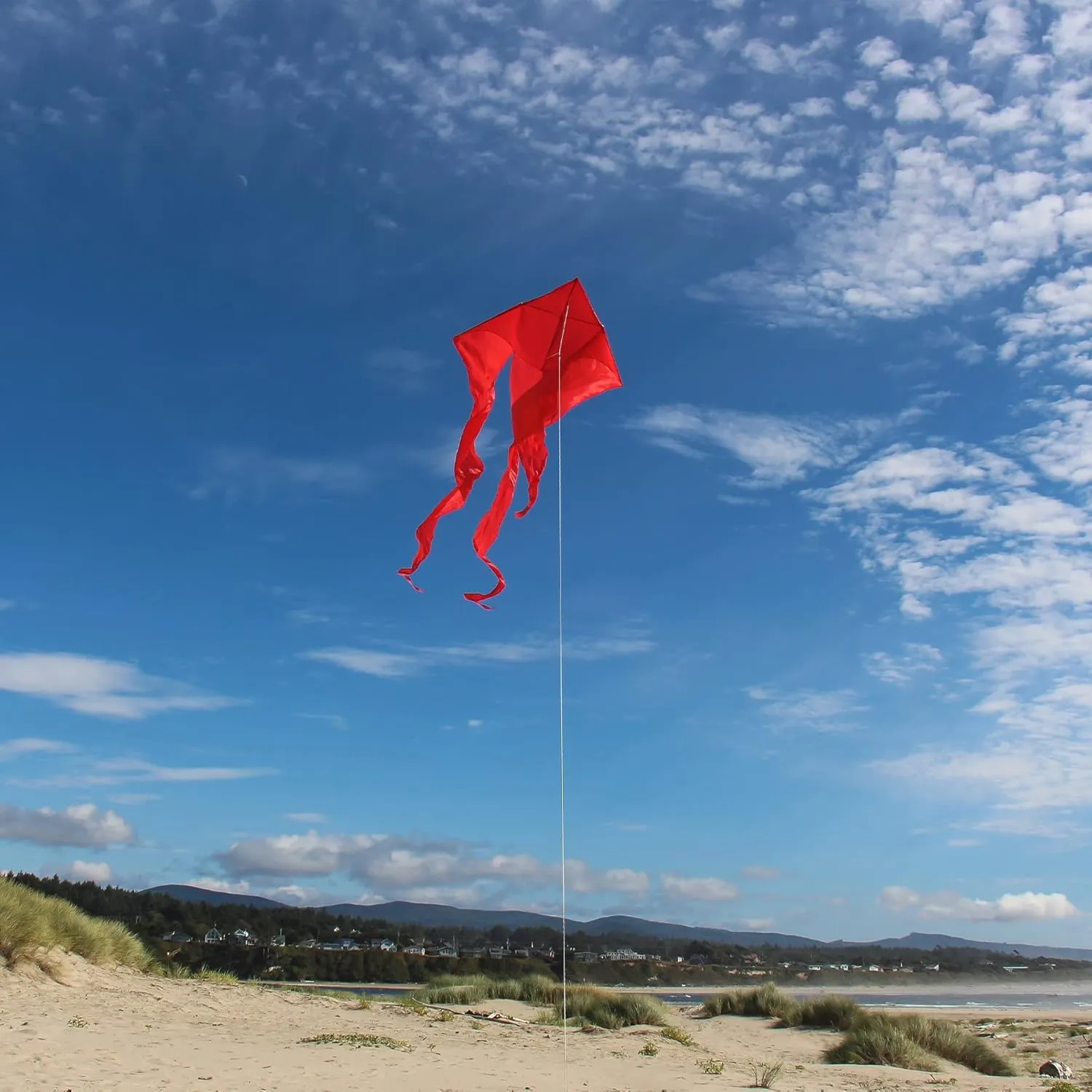 In the Breeze Wave Delta Kite, Single Line Kite, Ripstop and Taffeta Fabric, Line and Bag Included