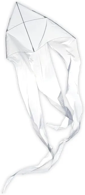 In the Breeze Wave Delta Kite, Single Line Kite, Ripstop and Taffeta Fabric, Line and Bag Included