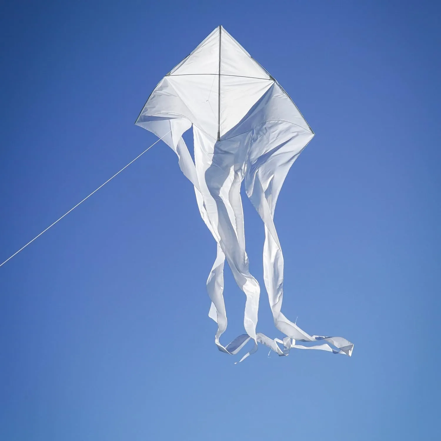 In the Breeze Wave Delta Kite, Single Line Kite, Ripstop and Taffeta Fabric, Line and Bag Included