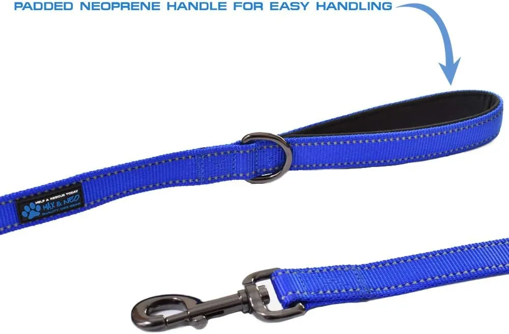 Max and Neo Small Dog Leash - Reflective Nylon, Donates to Dog Rescue (Teal, 6x5/8)