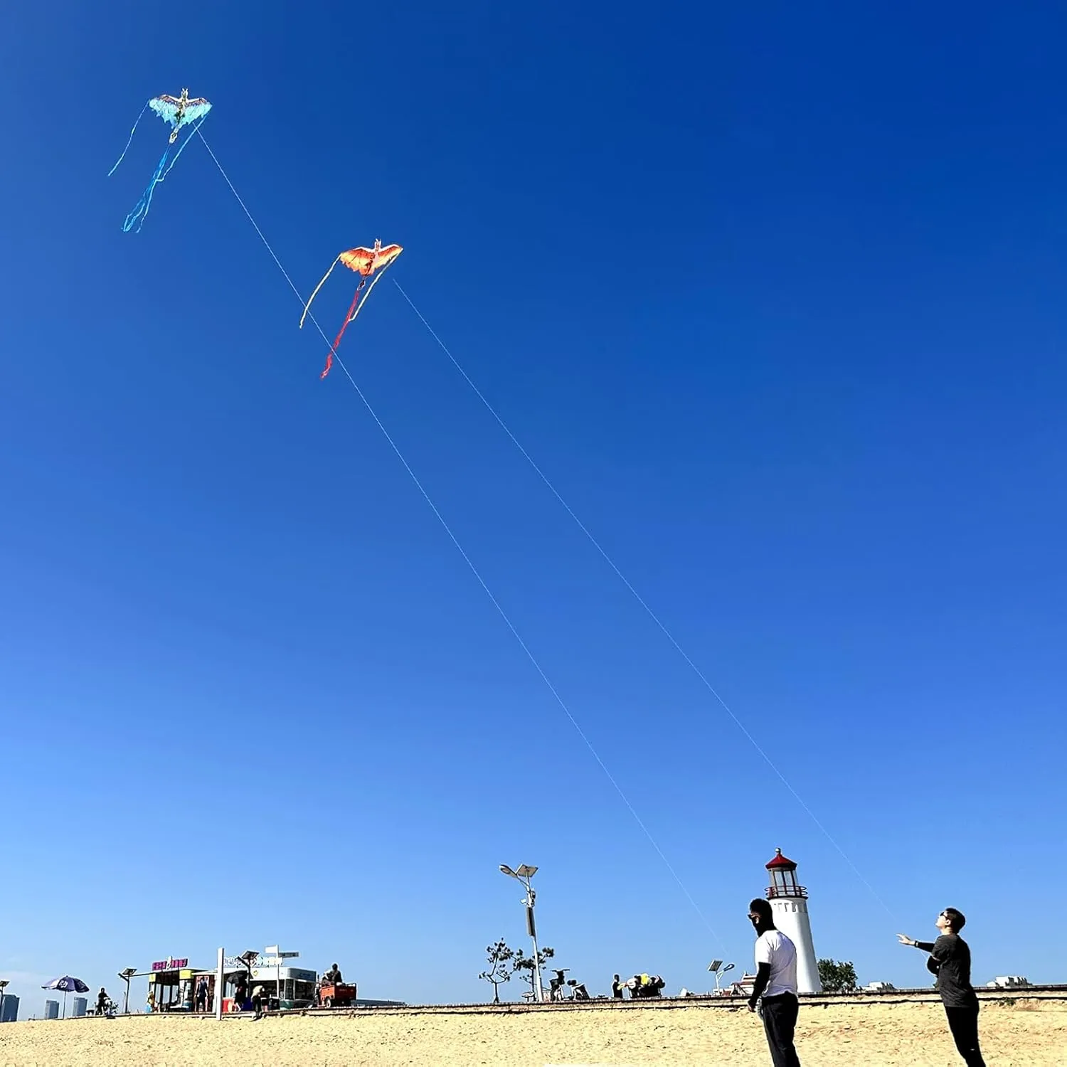 Mint's Colorful Life Dragon Kite for Kids & Adults, Easy to Fly Best Beach Kites for Beginners, 300ft Kite String Included