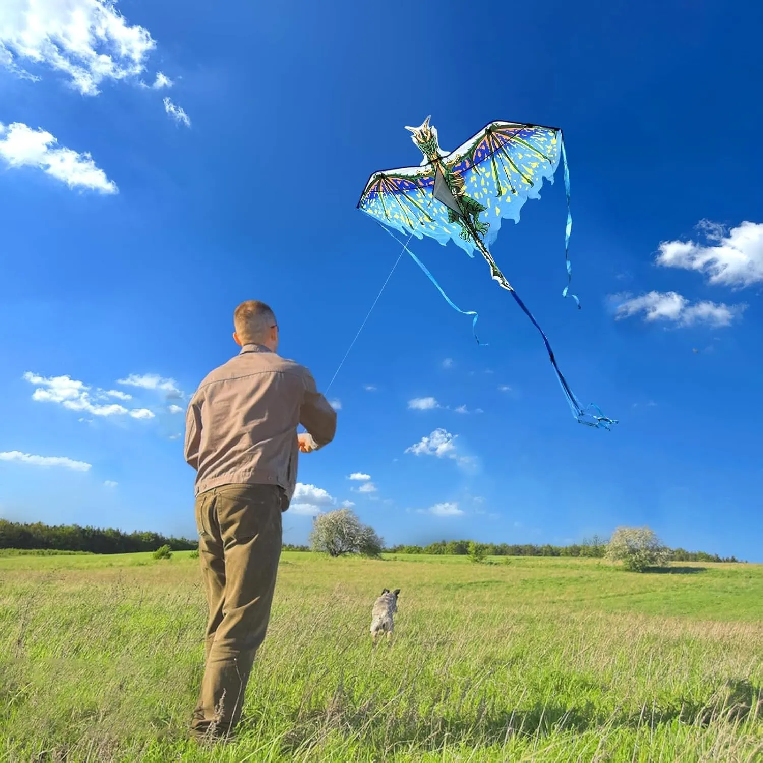 Mint's Colorful Life Dragon Kite for Kids & Adults, Easy to Fly Best Beach Kites for Beginners, 300ft Kite String Included