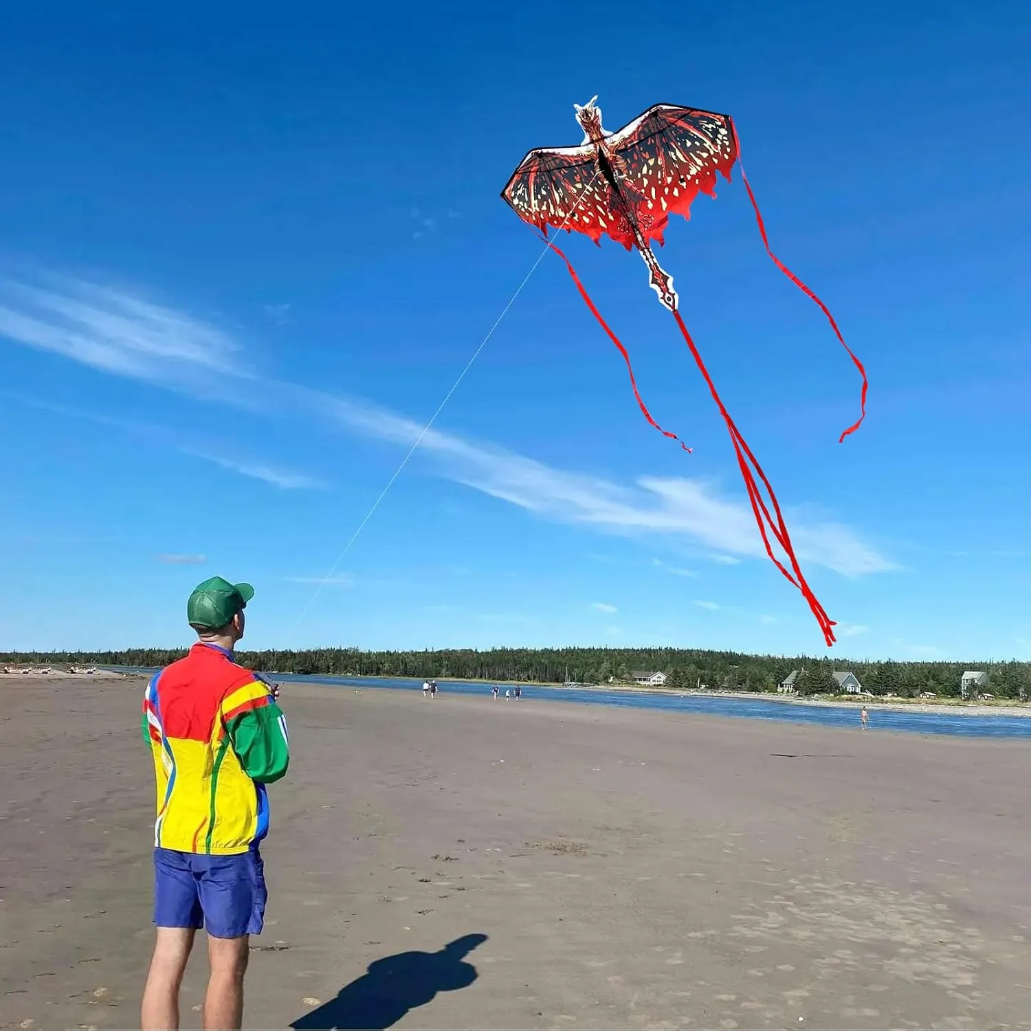 Mint's Colorful Life Dragon Kite for Kids & Adults, Easy to Fly Best Beach Kites for Beginners, 300ft Kite String Included