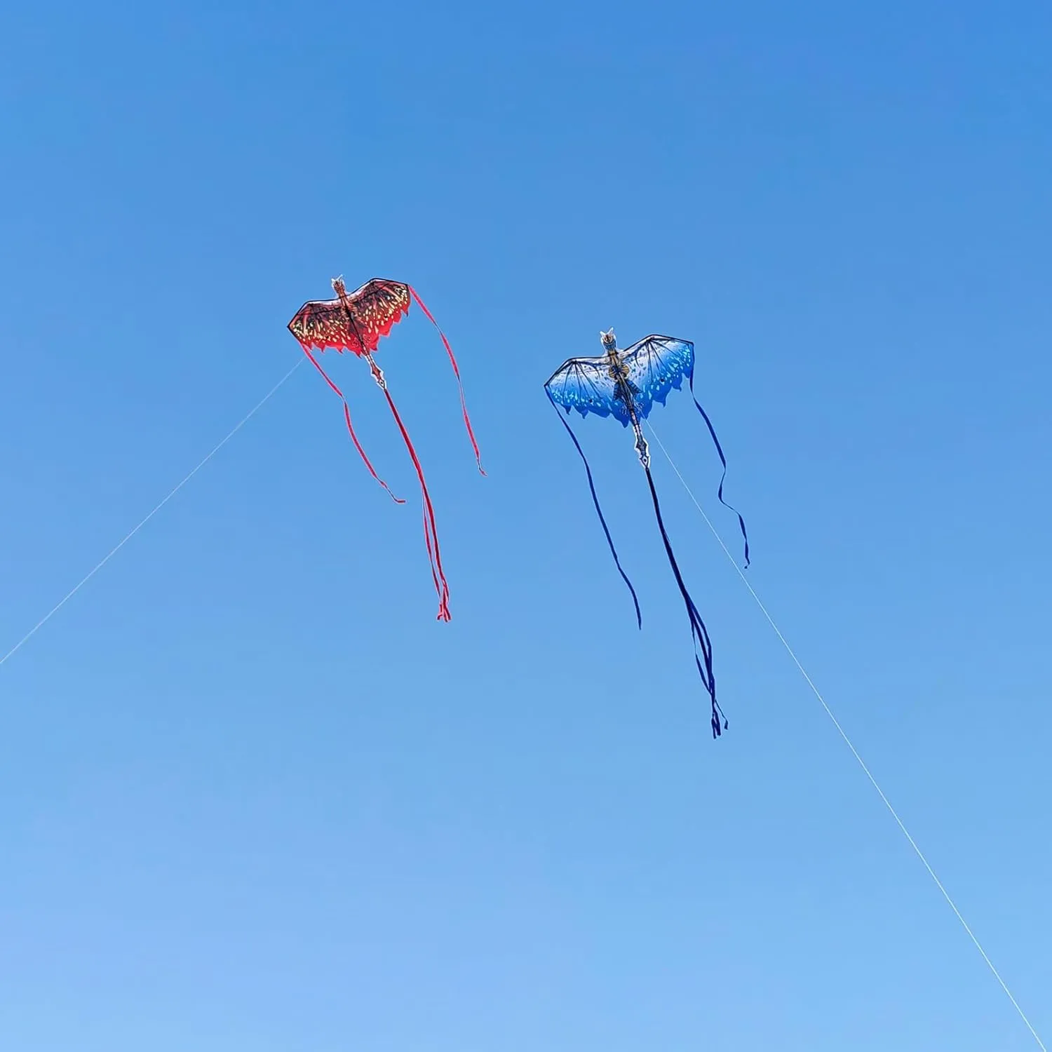 Mint's Colorful Life Dragon Kite for Kids & Adults, Easy to Fly Best Beach Kites for Beginners, 300ft Kite String Included