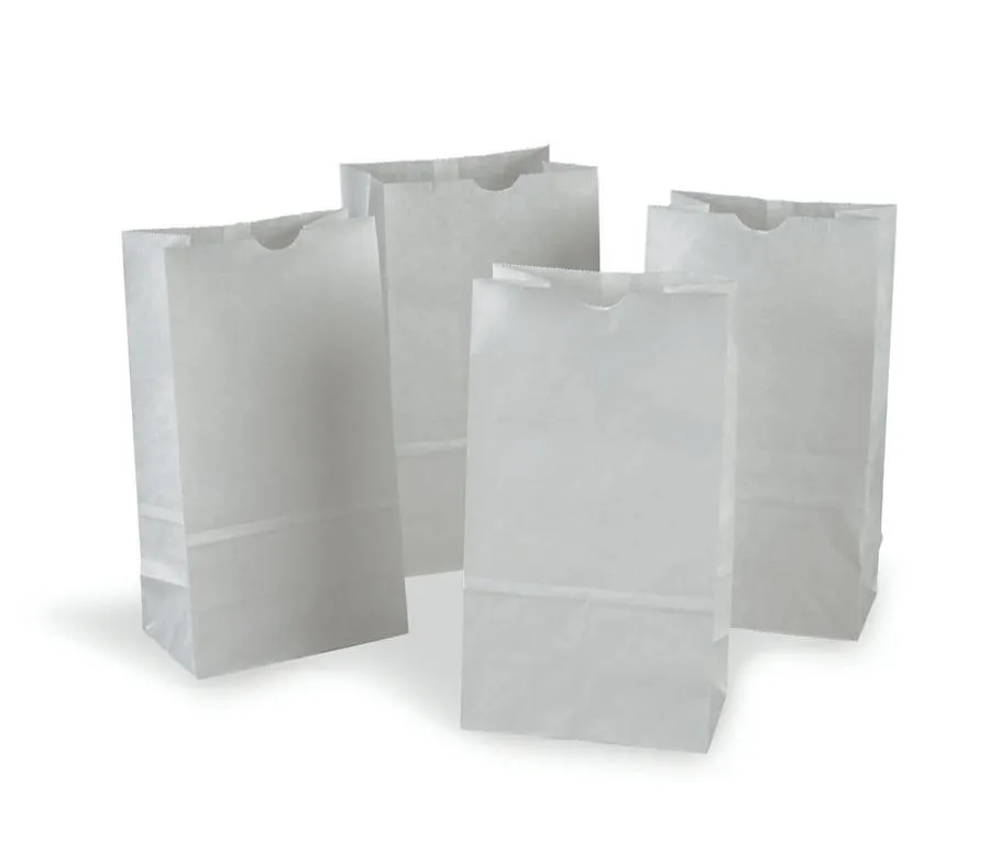 Pacon Rainbow® Kraft Bags 6x11, White, 100 Count