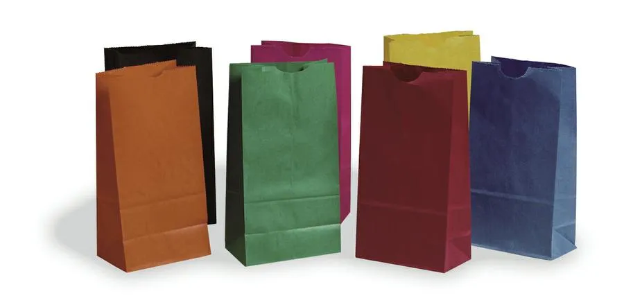 Pacon Rainbow® Kraft Mini Bags, Assorted Bright