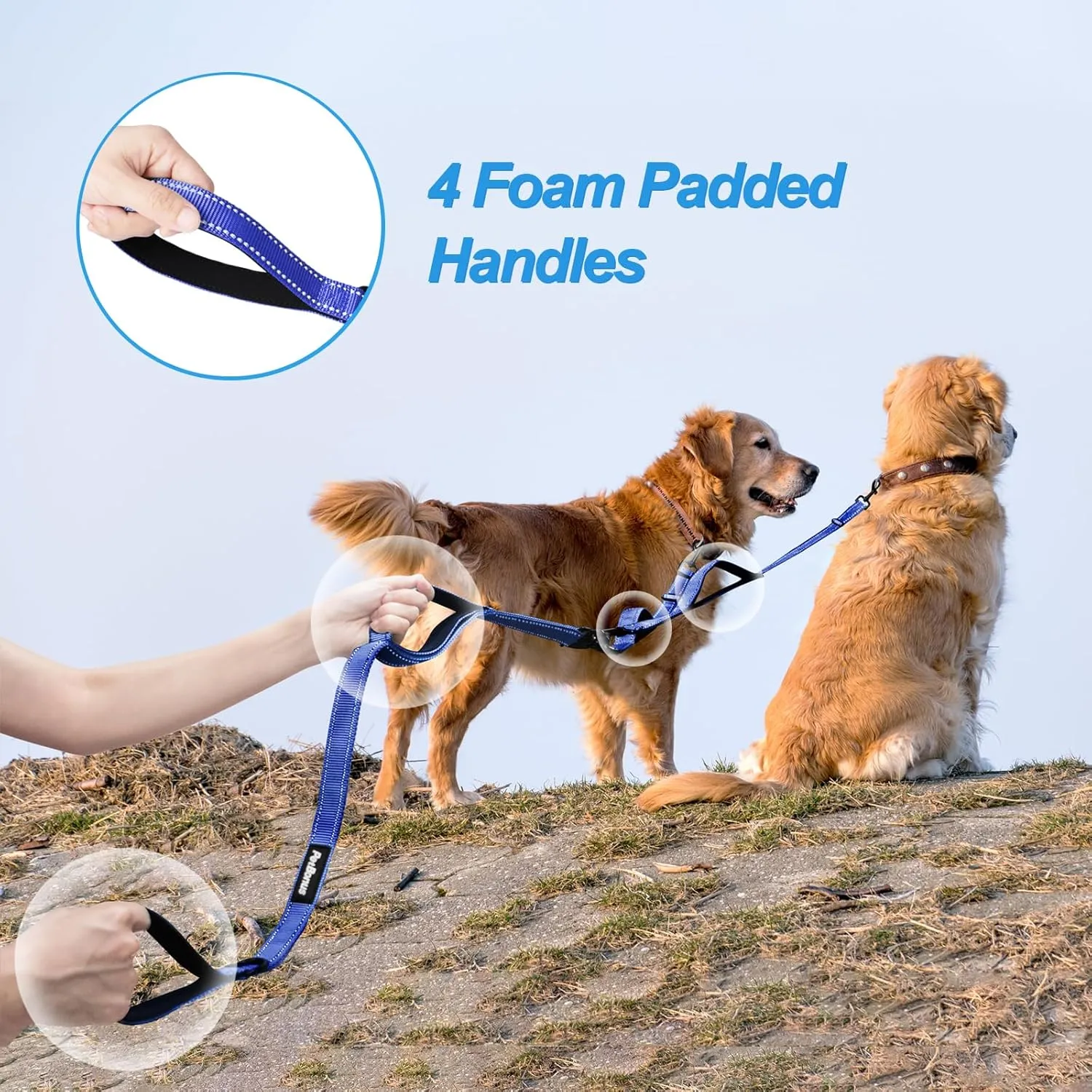PetBonus Double Dog Leash, No Tangle Dual Dog Leash, Reflective Walking Training Leash, 4 Comfortable Padded Handles for 2 Dogs with Collapsible Bowl and Waste Bags (Blue, Large)