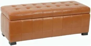 Safavieh Hudson Collection Nolita Leather Large Storage Bench, Saddle