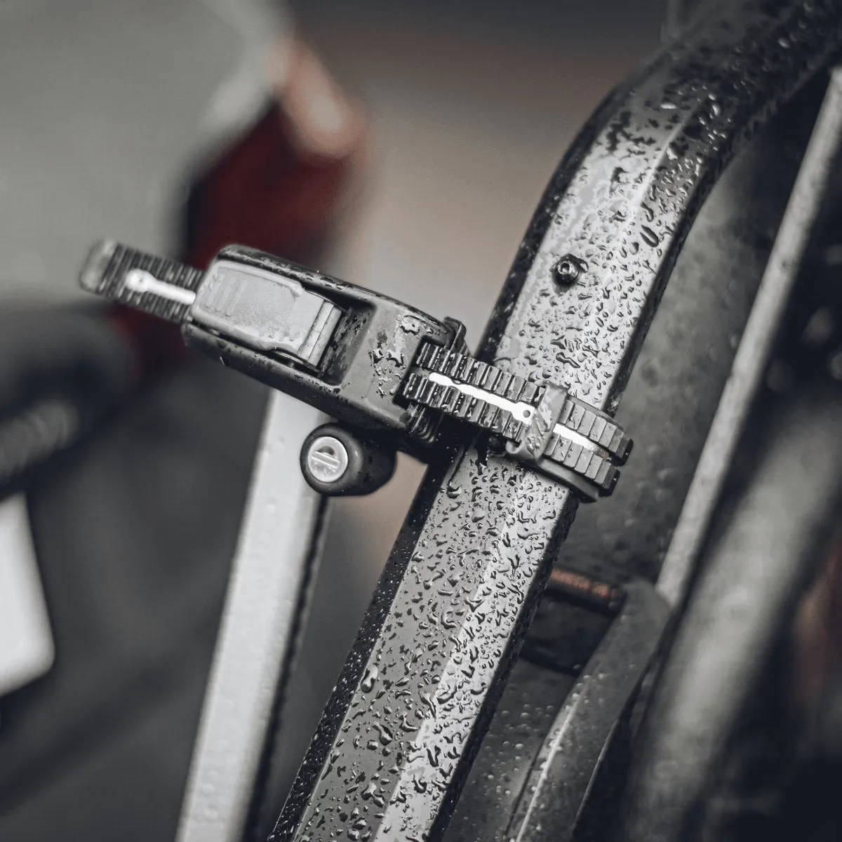 Thule Epos 2-Bike