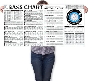 TiMitA Music Theory Chart Poster, Bass Guitar, Basses Scales